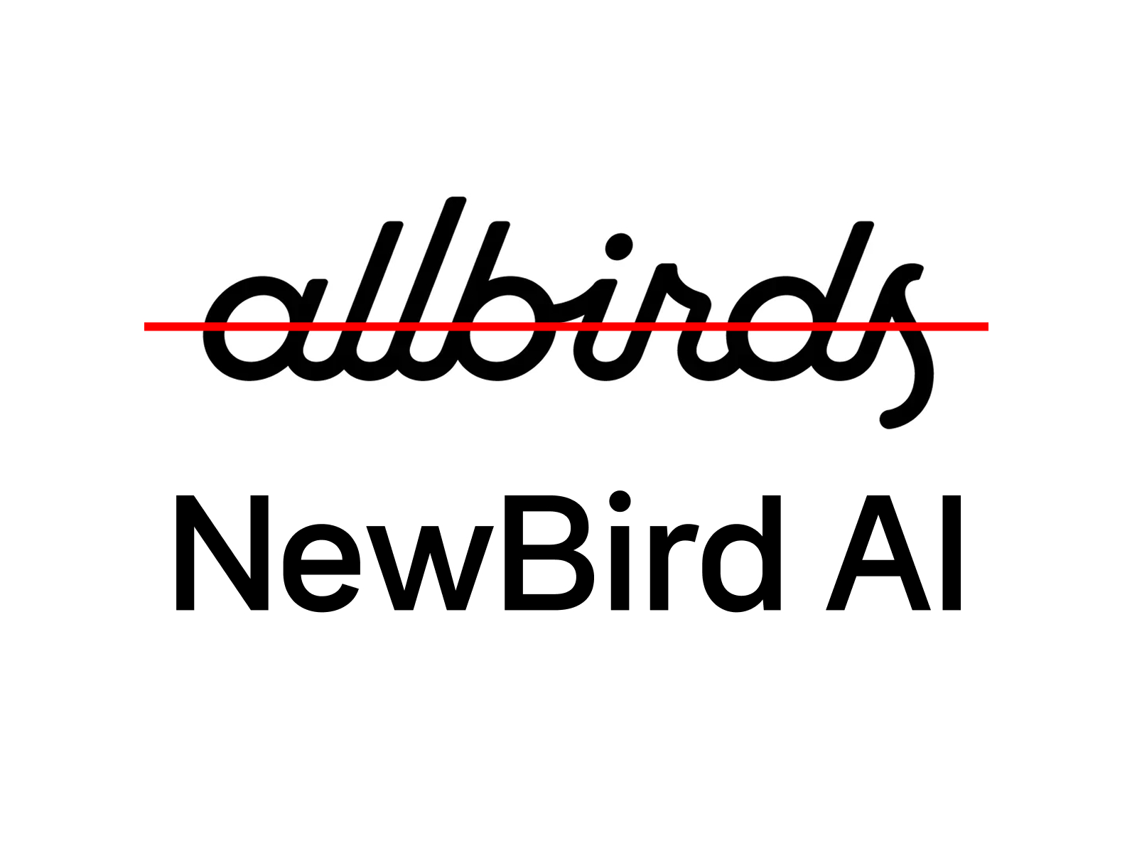 올버즈, 신발 버리고 AI로 주가 582% 상승